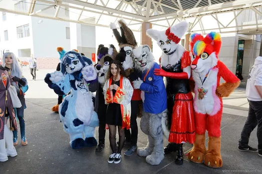 Copyright : Vincent Folliard